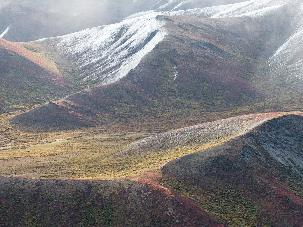 Tundra Fall Colors, Ogilvie Mountains, Yukon Territory